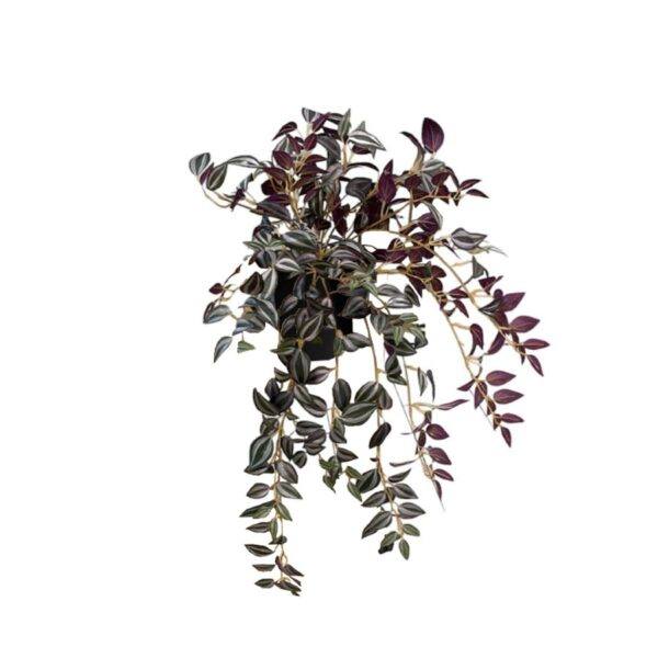 Artificial Purple Wandering Jew Bush (Without Wooden Stand) - Black Pot by masons home decor singapore