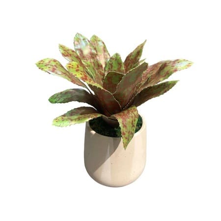 Artificial Red-Spotted Bromelia - White Pot 1 by masons home decor singapore