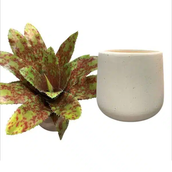 Artificial Red-Spotted Bromelia - White Pot 2 by masons home decor singapore