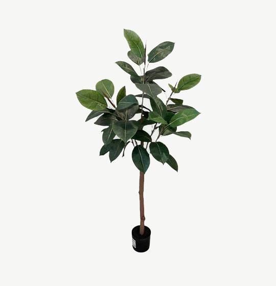 Artificial Rubber Plant - 1.2m - Basic Black Pot by masons home decor singapore