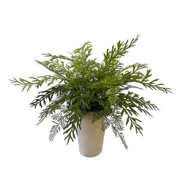 Artificial Sage Brush Fern - Off-White Ceramic Pot by masons home decor singapore