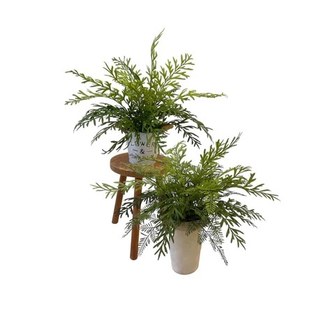 Artificial Sage Brush Fern (Set of 2) - Zinc Pot and Off-White Ceramic Pot by masons home decor singapore