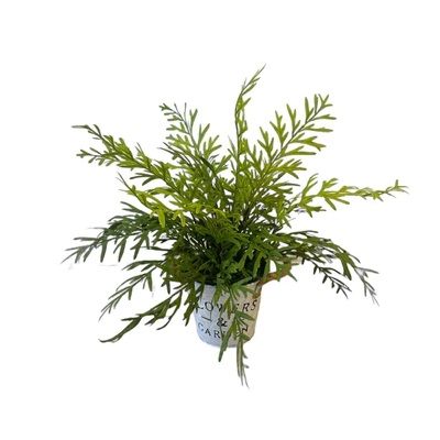 Artificial Sage Brush Fern - Zinc Pot by masons home decor singapore