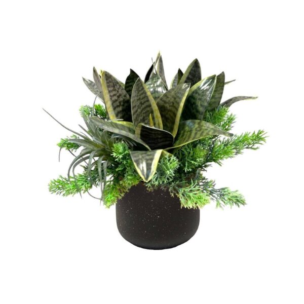 Artificial Sansevieria Arrangement with Mini Air Plant - Black Speckled Ceramic Pot by masons home decor singapore