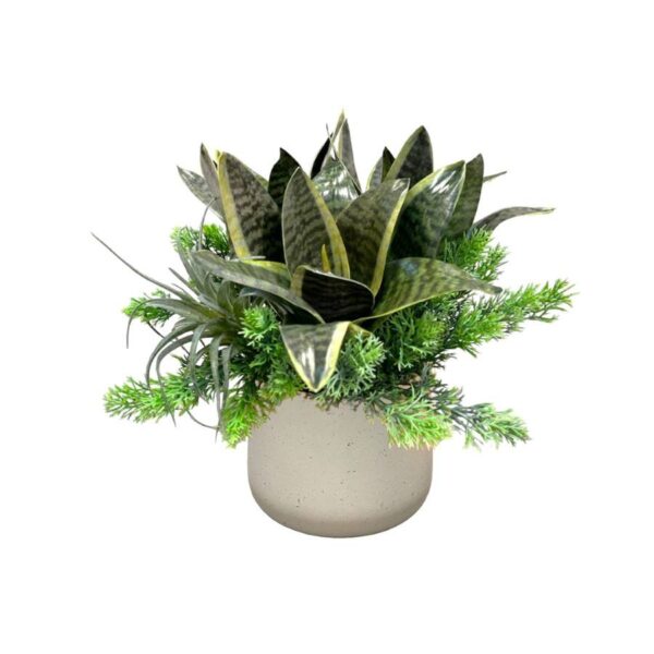 Artificial Sansevieria Arrangement with Mini Air Plant - White Speckled Ceramic Pot by masons home decor singapore