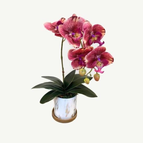 Artificial Single-Stalk Phalaenopsis Orchid - Magenta - Round Marble-Design Pot with Gold plate by masons home decor singapore