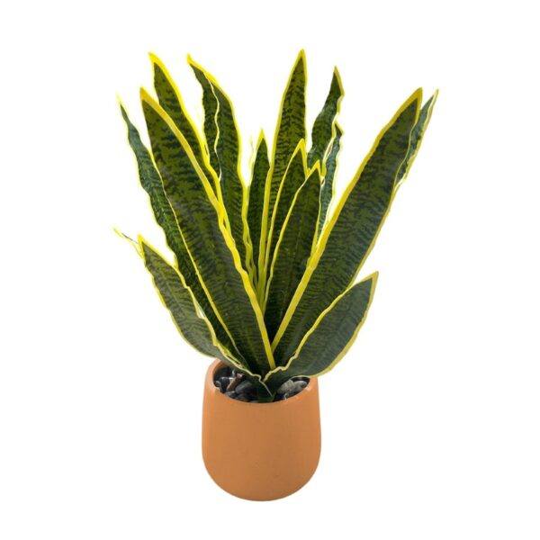 Artificial Snake Plant - Terracotta Pot by masons home decor singapore