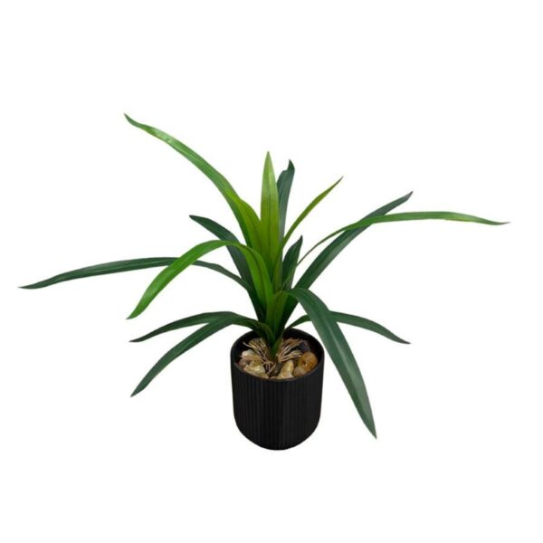 Artificial Sword Fern - Black Pot 1 by masons home decor singapore