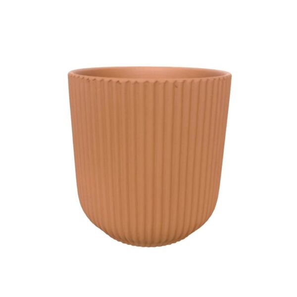 Artificial Sword Fern - Terracotta Pot 2 by masons home decor singapore