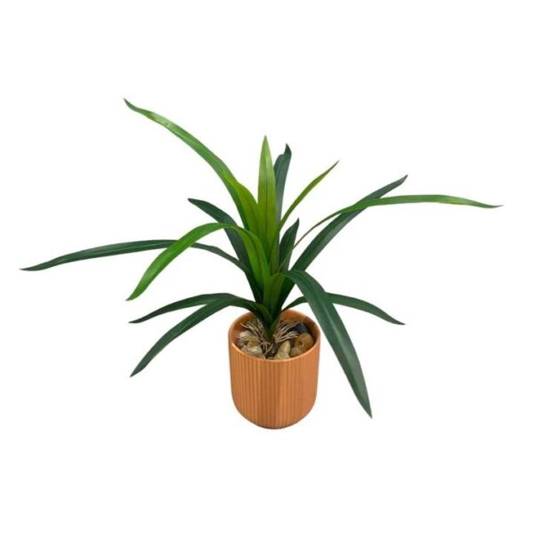 Artificial Sword Fern - Terracotta Pot by masons home decor singapore