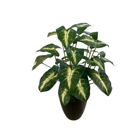 Artificial Syngonium Bush - Black Melanin Pot by masons home decor singapore