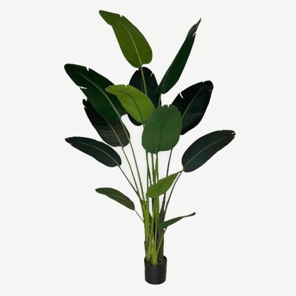 Artificial Traveller's Palm - 1.9m - Basic Black Pot by masons home decor singapore