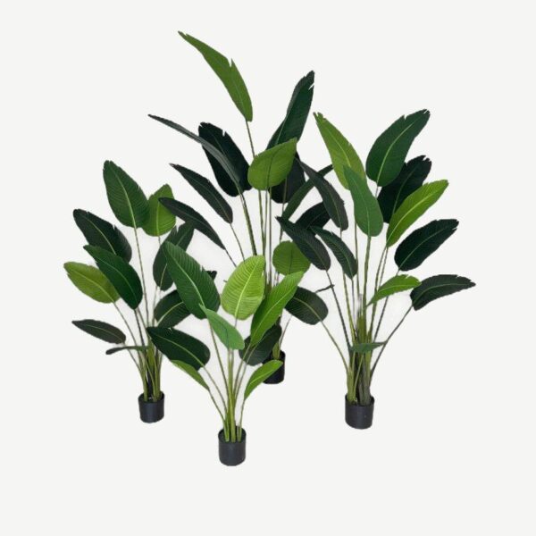 Artificial Traveller's Palm (Set of 4) - 1.2m to 2.2m - Basic Black Pot by masons home decor singapore