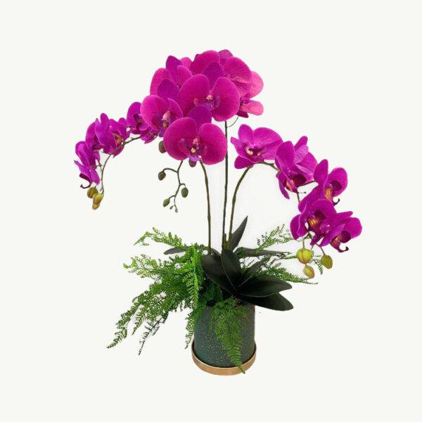 Artificial Triple-Stalk Phalaenopsis Orchid Arrangement with Curly Fern - Beauty (Purple) - Jade Green Pot with Gold Plate by masons home decor singapore