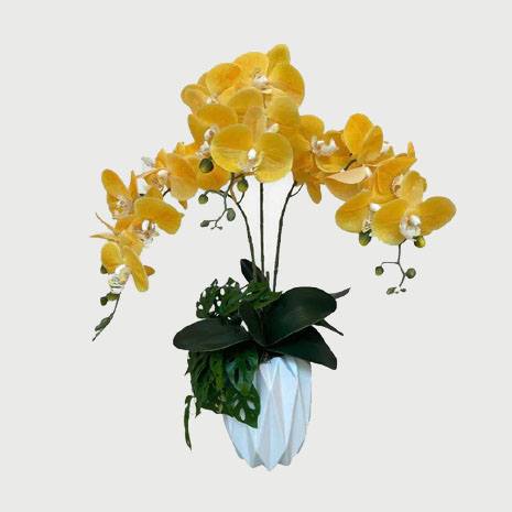 Artificial Triple-Stalk Phalaenopsis Orchid - Yellow - White Design-Cut Pot 1 by masons home decor singapore