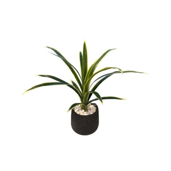 Artificial Variegated Sword Fern - Black Pot by masons home decor singapore