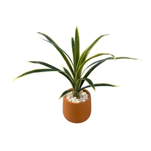 Artificial Variegated Sword Fern - 0.55m - Pot Terracotta