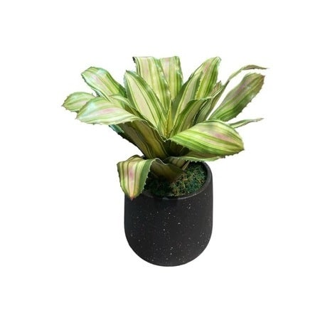 Artificial Yellow-Green Bromelia - 0.35m - Pot Black