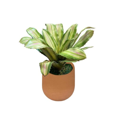 Artificial Yellow-Green Bromelia - 0.35m - Pot Terracotta