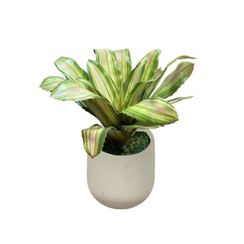 Artificial Yellow-Green Bromelia - 0.35m - Pot White