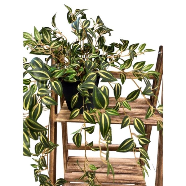 Artificial Yellow Green Wandering Jew Bush (With Wooden Stand) - Black Pot by masons home decor singapore