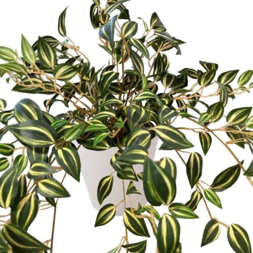 Artificial Yellow Green Wandering Jew Bush - 0.3m - Pot White