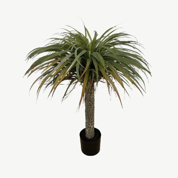 Artificial Yucca - Basic Black Pot by masons home decor singapore