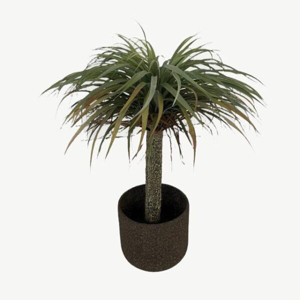 Artificial Yucca - Dark Brown Stone Pot with Black Stones by masons home decor singapore