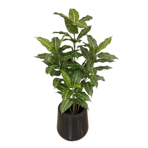 artificial acuba plant - black pot by masons home decor singapore