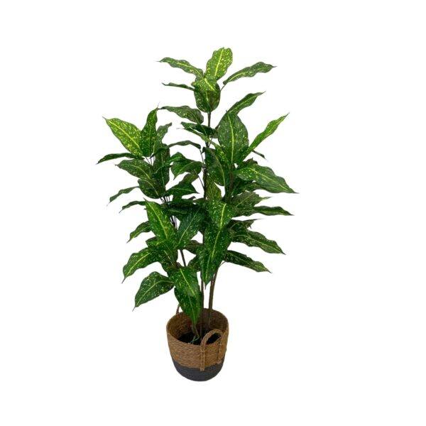 artificial acuba plant - brown basket by masons home decor singapore