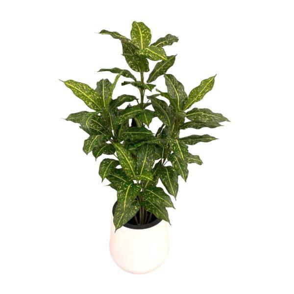 artificial acuba plant - white pot by masons home decor singapore