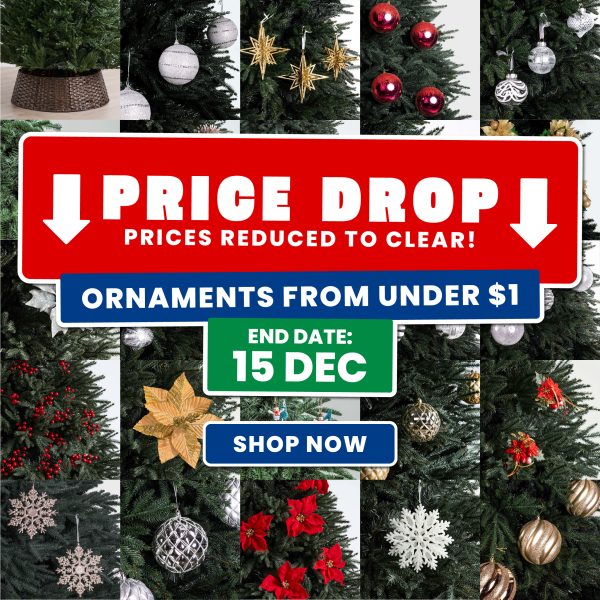 massive Christmas sale